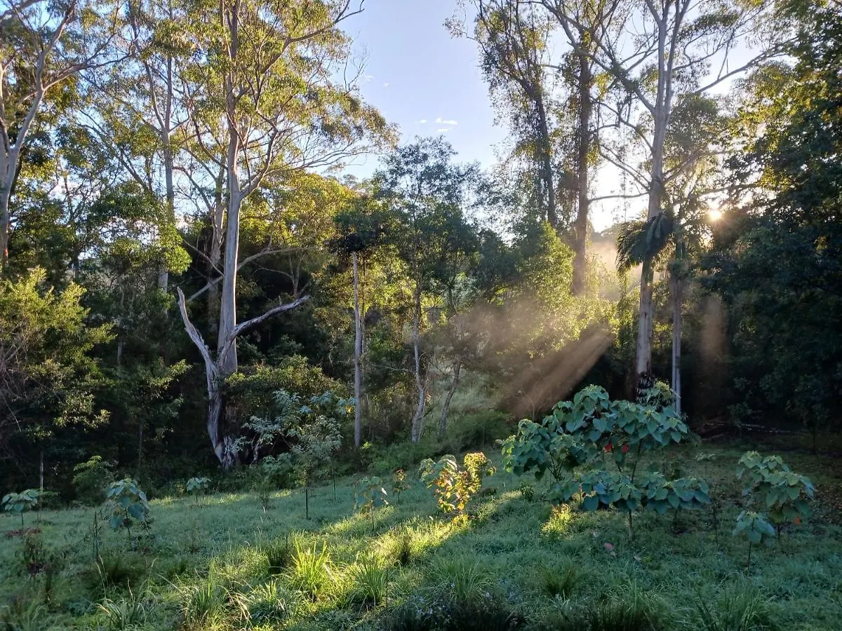 וילה מייפלטון Hideaway Falls - Bunya Cottage